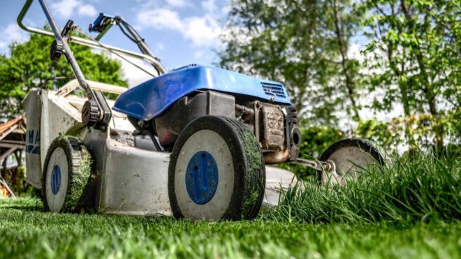 Different Types of Mowers: How to Make the Right Purchase